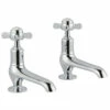 Butler & Rose Caledonia Pinch Long Nose Basin Pillar Taps - Chrome 1 Butler & Rose Caledonia Pinch Long Nose Basin Pillar Taps - Chrome -TAP WAREHOUSE Shop butler rose caledonia pinch basin pillar taps