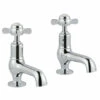 Butler & Rose Caledonia Pinch Cloakroom Basin Pillar Taps - Chrome 1 Butler & Rose Caledonia Pinch Cloakroom Basin Pillar Taps - Chrome -TAP WAREHOUSE Shop butler rose caledonia pinch cloakroom pillar taps
