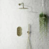 Harbour Clarity Brushed Brass Shower Package With 2 Outlet Valve, Fixed Head & Arm And Wall Shower Kit -TAP WAREHOUSE Shop harbour clarity shower valve head arm and wall handset brushed brass pack lifestyle