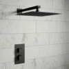 Harbour Status Concealed Shower Valve & Wall Mounted Fixed 200mm Shower Head - Matt Black -TAP WAREHOUSE Shop harbour status concealed valve wall showerhead v2
